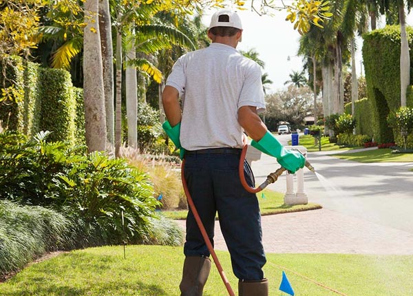 About Newfane VT Pest Control
